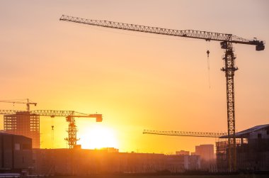 bir gün batımı arka planda Vinçler 