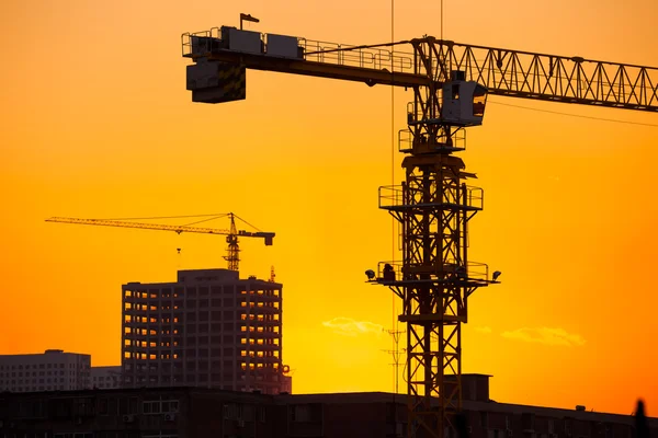 Cranes on a sunset background — Stock Photo, Image