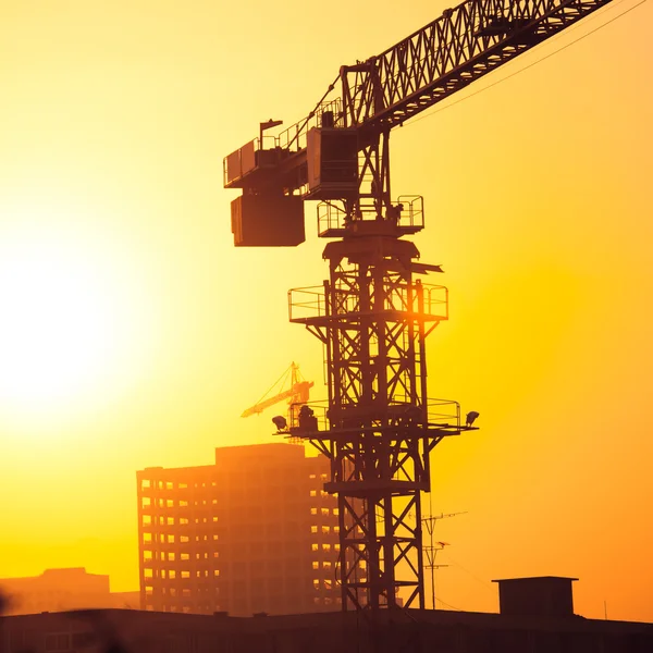 Kranen op een zonsondergang achtergrond — Stockfoto