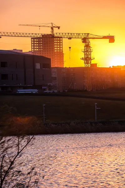 Cranes on a sunset background — Stock Photo, Image