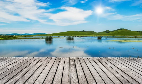 Green field and blue sky — Stock Photo, Image