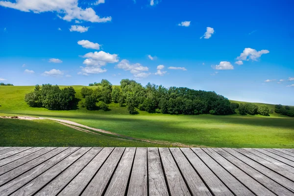 Campo verde e cielo blu — Foto Stock