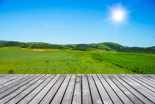 Green field and blue sky — Stock Photo, Image