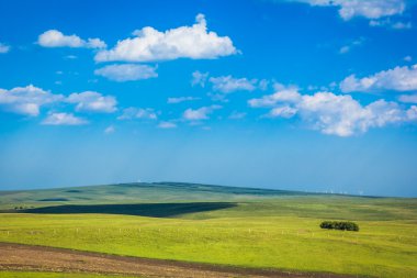 yeşil tarla ve mavi gökyüzü