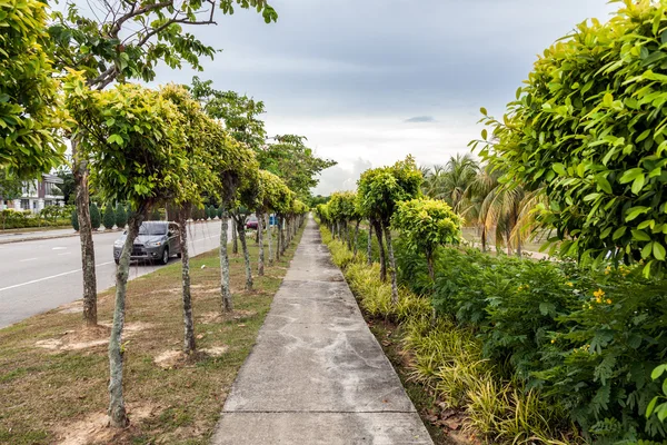 Uitzicht op de stad van Putrajaya, Maleisië — Stockfoto