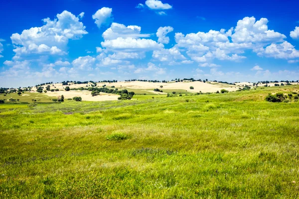 Campo verde y cielo azul — Foto de Stock