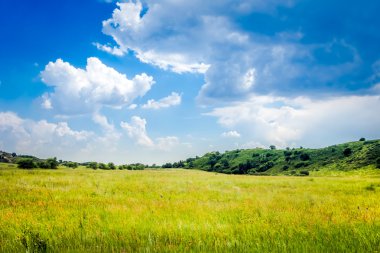 yeşil tarla ve mavi gökyüzü