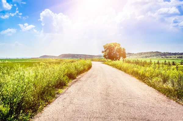 Route dans les prairies — Photo