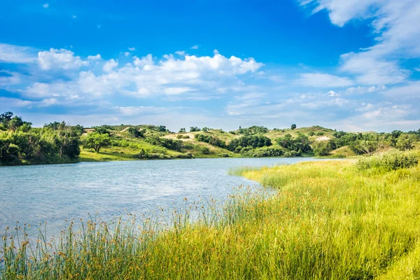 Green field and blue sky — Stock Photo, Image