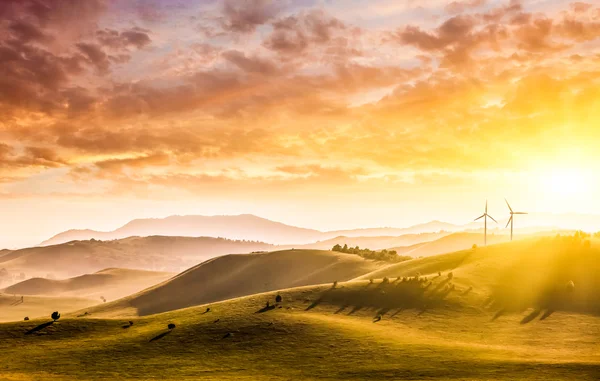 Mountains and grassland at sunset — Stock Photo, Image