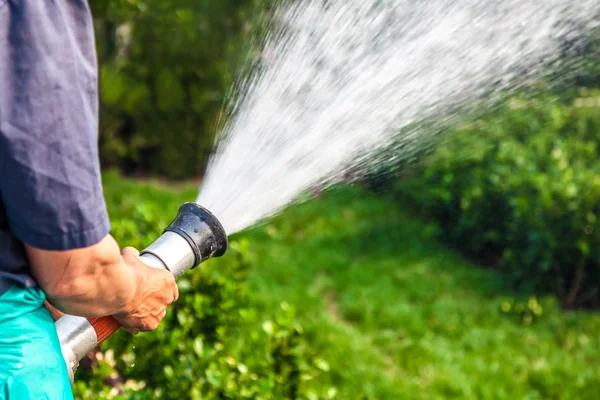 Män hand vattna växterna — Stockfoto