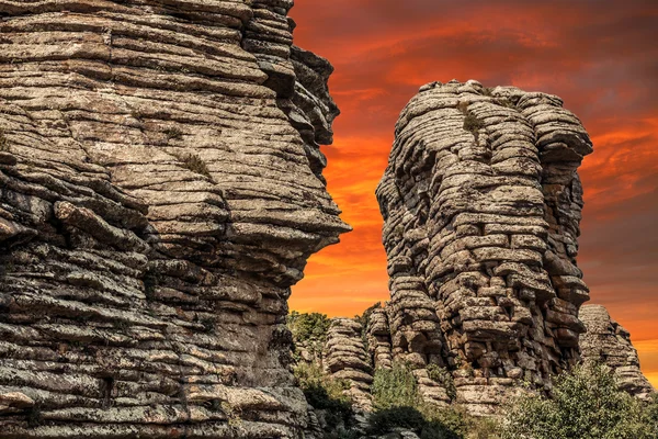 Stone forest sunset — Stock Photo, Image