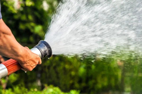 Muži ruku zalévání rostlin — Stock fotografie
