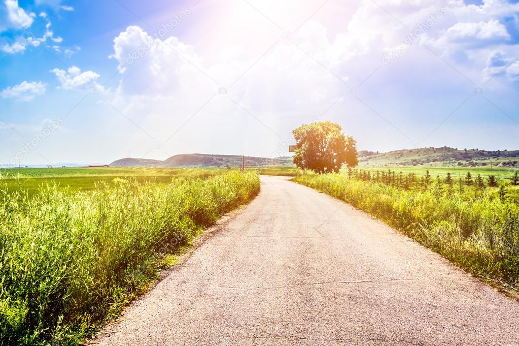 Road in grassland