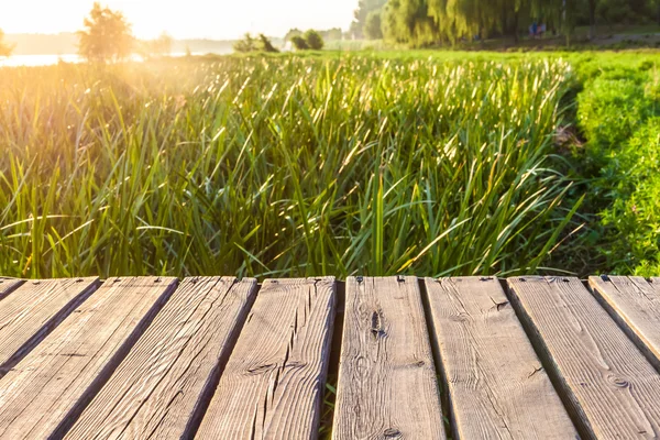 Lateralmente nel parco — Foto Stock