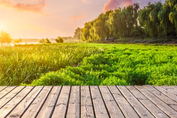 Sidewalk in het park — Stockfoto