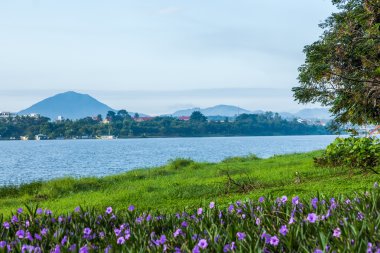 Nehir yeşil ağaçlar ve çim Hue Vietnam