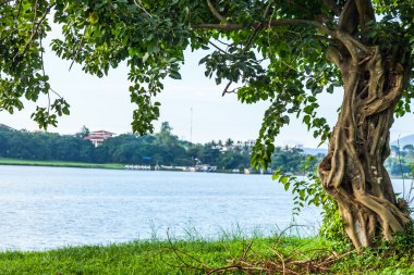 Nehir yeşil ağaçlar ve çim Hue Vietnam