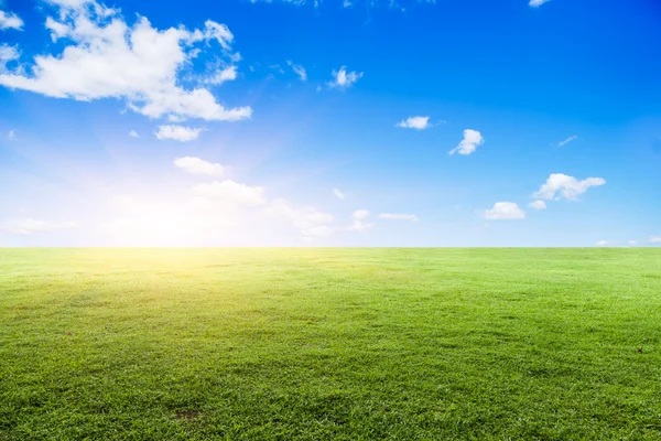 Grasland onder de blauwe hemel — Stockfoto