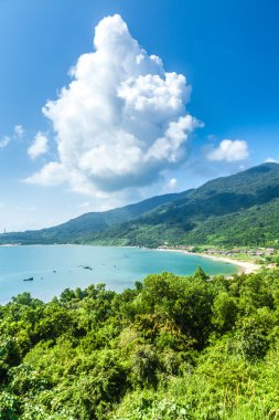 Dağ altında Vietnam, bay