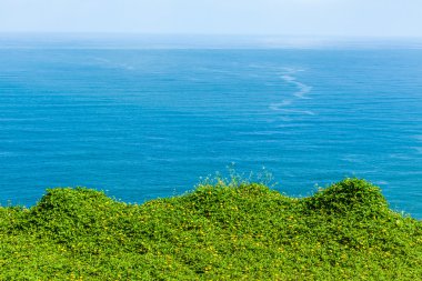 Dağ altında Vietnam, bay