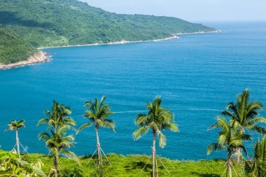 Dağ altında Vietnam, bay