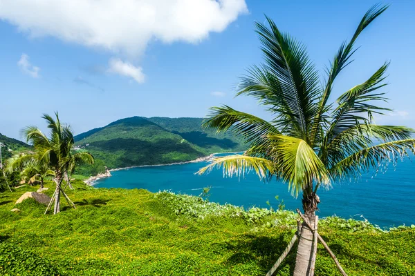 Baie sous la montagne, Vietnam — Photo