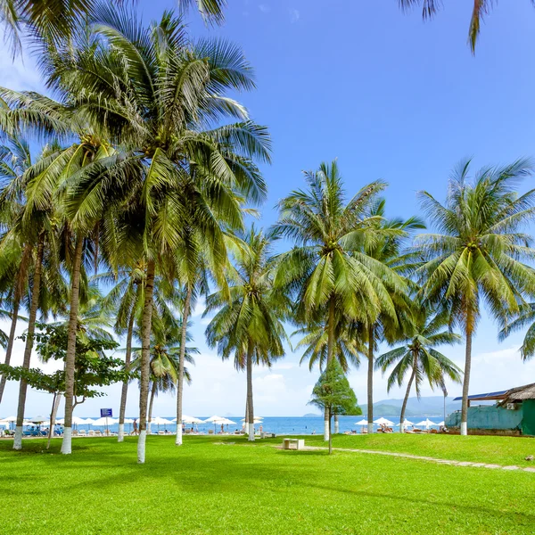 Beach in Vietnam — Stock Photo, Image