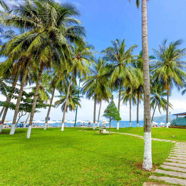 Beach in Vietnam — Stock Photo, Image