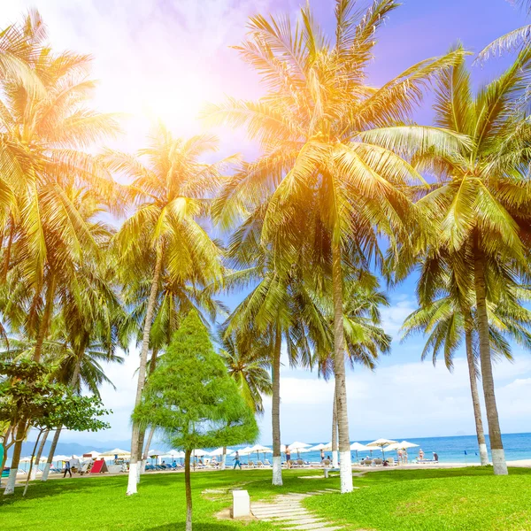 Beach in Vietnam — Stock Photo, Image