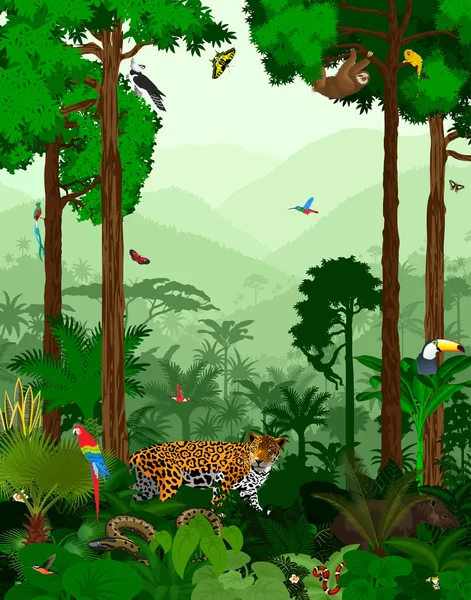 Floresta tropical da selva vetorial com animais —  Vetores de Stock
