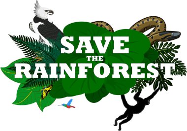 vektör çizim ile orman yağmur ormanları hayvan