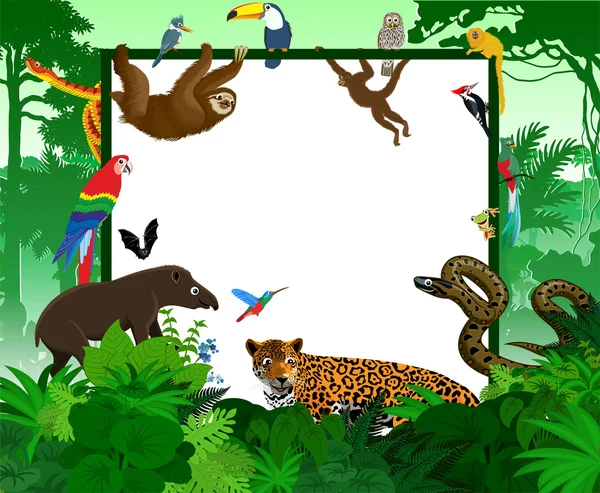 Marco vectorial con animales de dibujos animados de selva tropical — Vector de stock