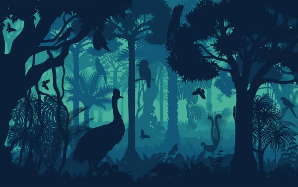 Vector Noche Selva Tropical Fondo Selva Con Lyreburd Cacatúa Murciélago — Archivo Imágenes Vectoriales