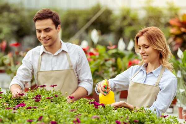 Menschen in der Orangerie — Stockfoto