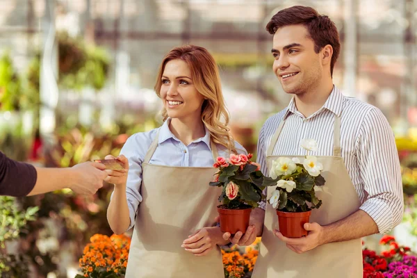 Människor i orangeriet — Stockfoto