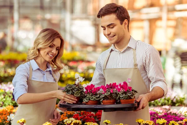 Menschen in der Orangerie — Stockfoto