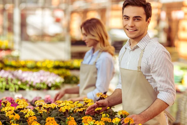 People in orangery — Stock Photo, Image