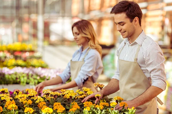 Menschen in der Orangerie — Stockfoto