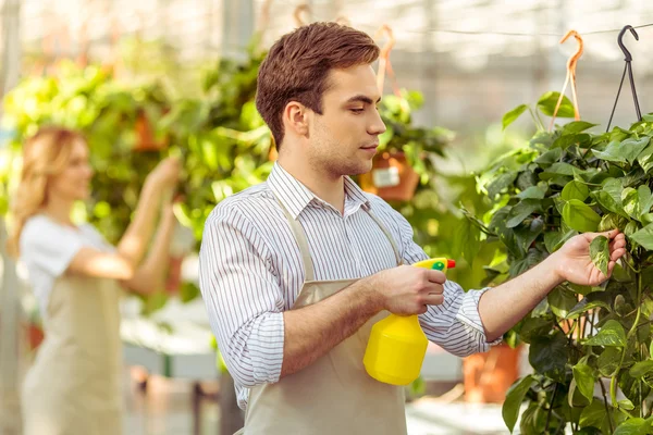 People in orangery — Stock Photo, Image