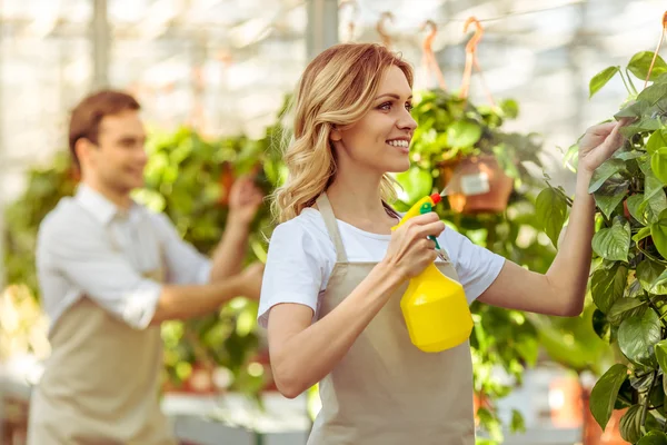 Pessoas em orangery — Fotografia de Stock