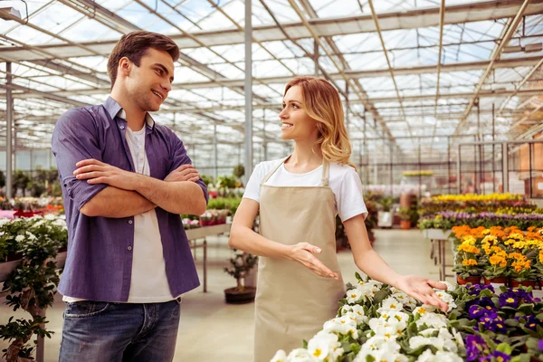 People in orangery — Stock Photo, Image