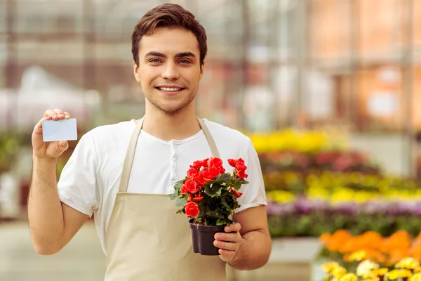 Man in orangery — Stock Photo, Image