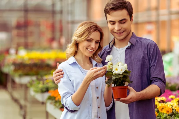 People in orangery — Stock Photo, Image