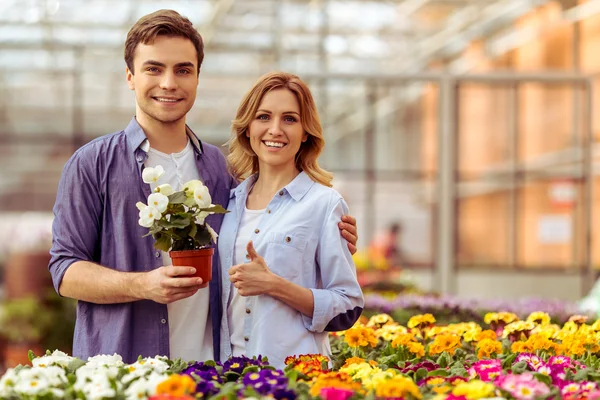 People in orangery — Stock Photo, Image