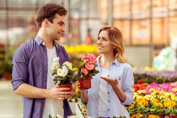 People in orangery — Stock Photo, Image