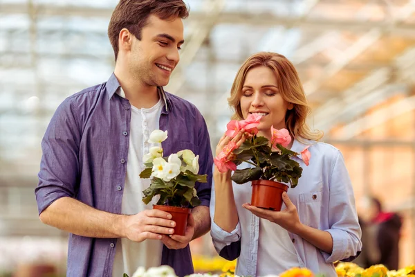 People in orangery — Stock Photo, Image