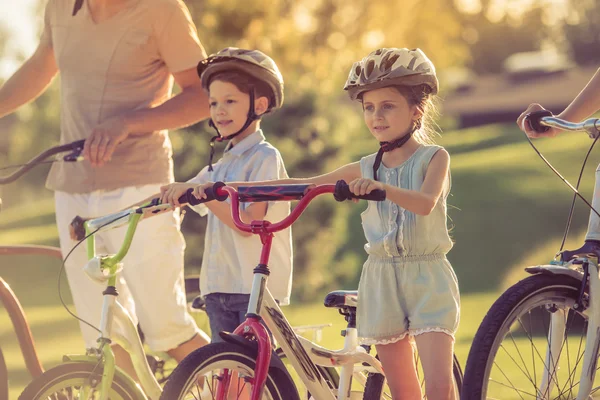 Bisiklet üzerinde aile