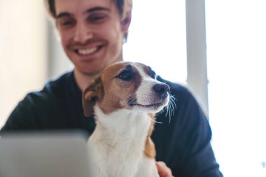 Genç ve başarılı bir iş adamı, evde çalışırken masada oturuyor, dizüstü bilgisayar kullanıyor ve köpeğiyle eğleniyor..