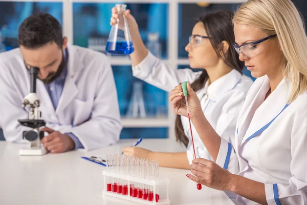 Laboratory — Stock Photo, Image